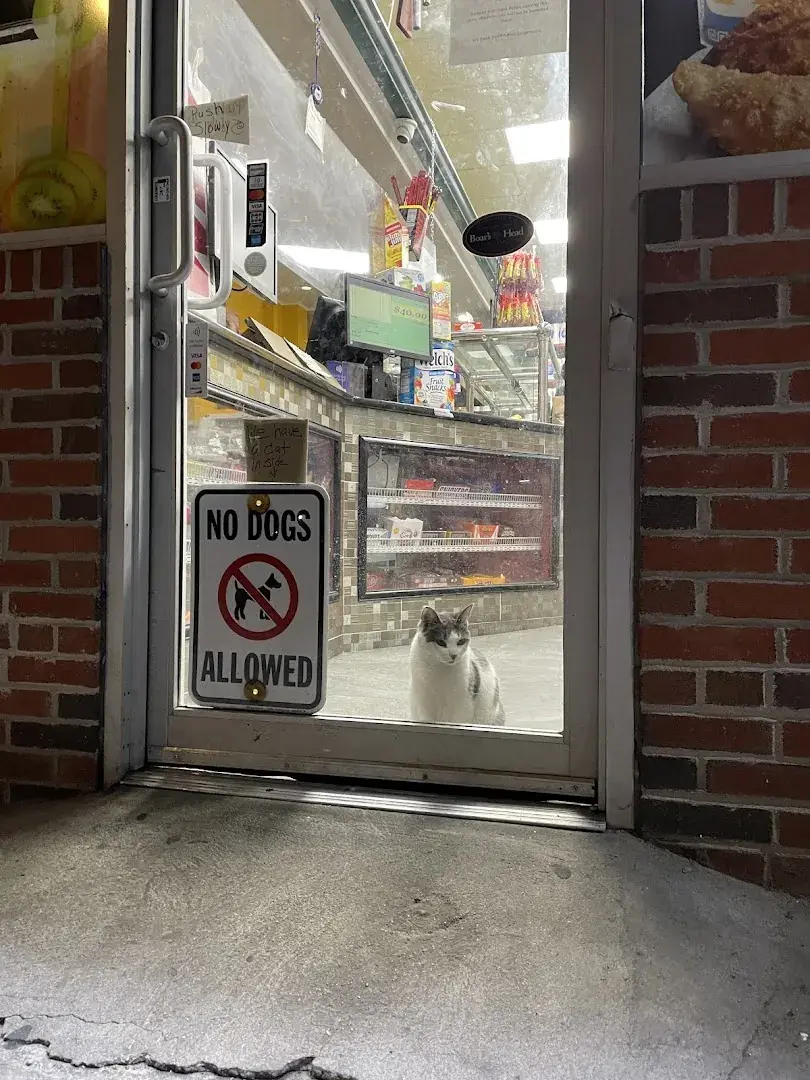 Edwards Grocery Store - Grocery store in Brooklyn, New York