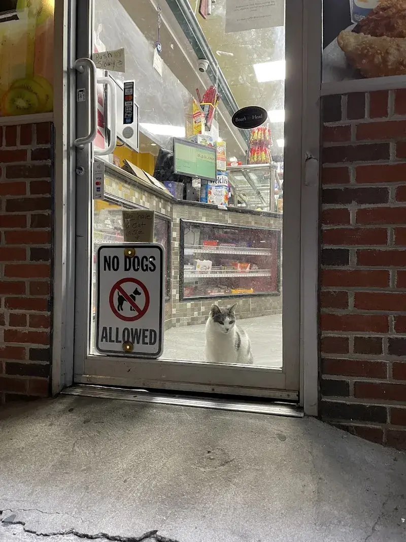 Edwards Grocery Store in Brooklyn, New York