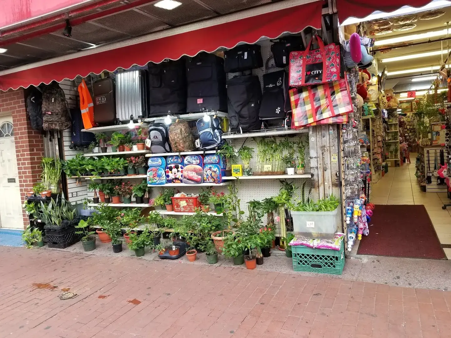 Giant U.S.A. Market - Discount store in Jamaica, New York