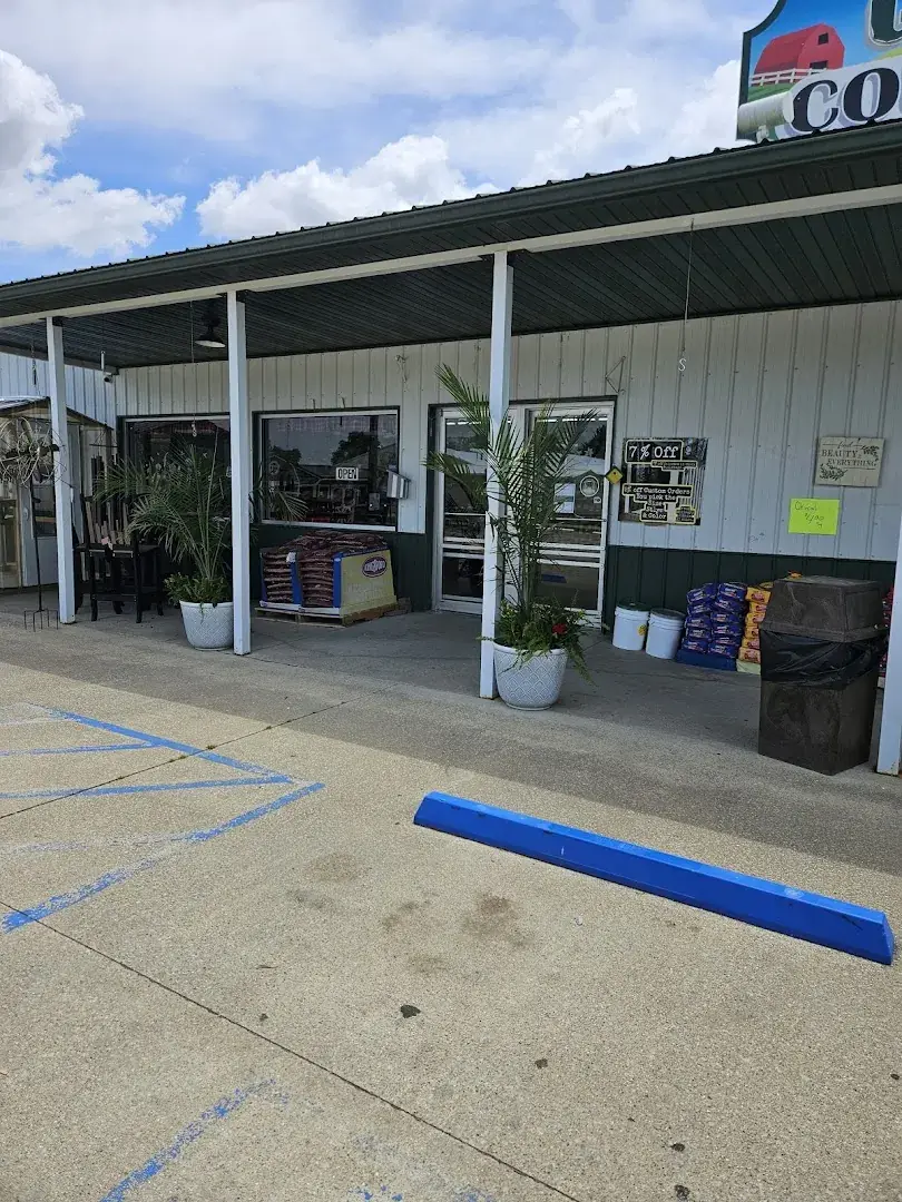 Greenfield Country Store - General store in Wayne City, Illinois