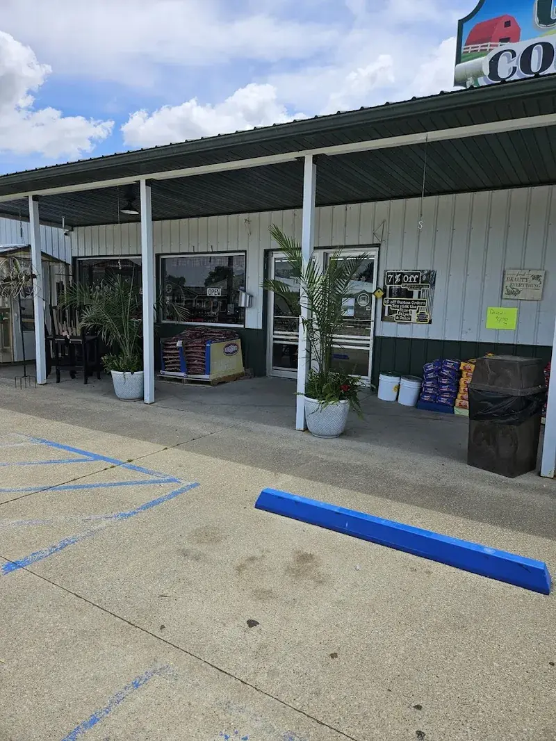 Greenfield Country Store in Wayne City, Illinois