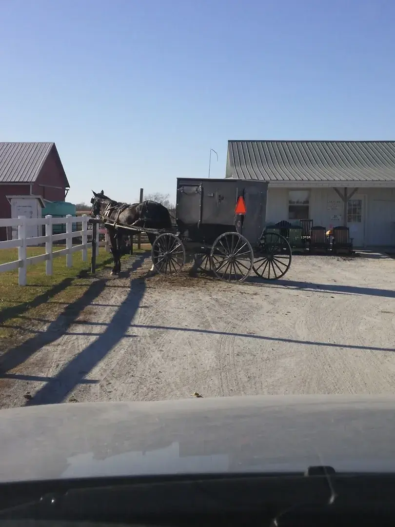 Lake View Grocery (Amish Store) - Grocery store in Clark, Missouri