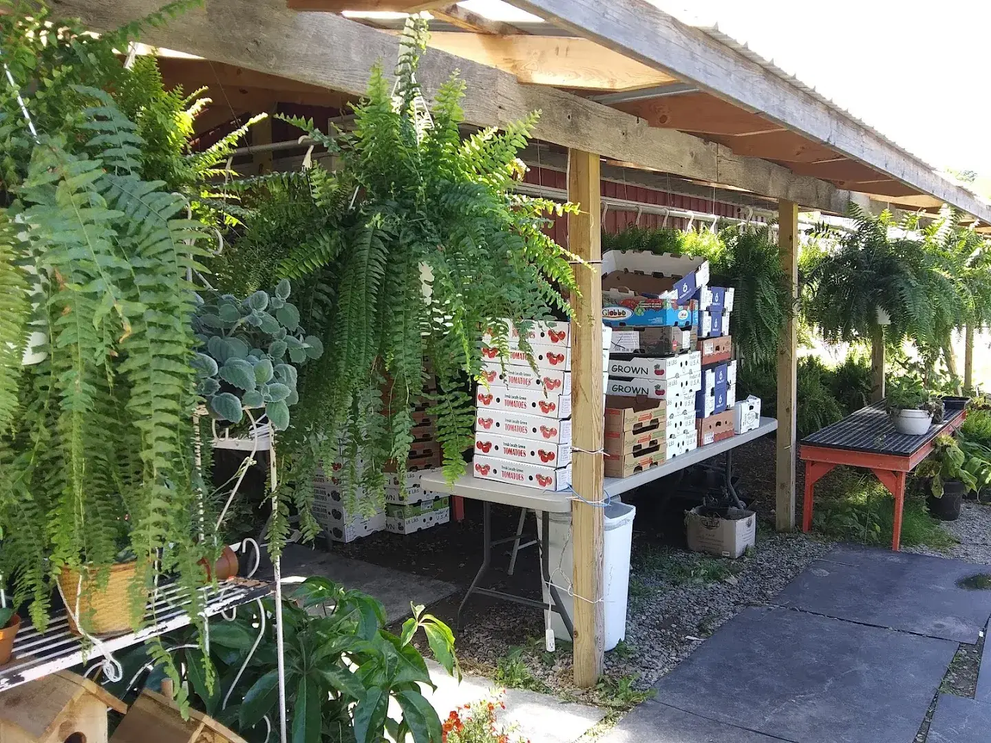 Lavern's Country Market - Grocery store in Liberty, Kentucky