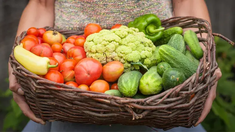 Piedmont Market General Store in Monroe, North Carolina