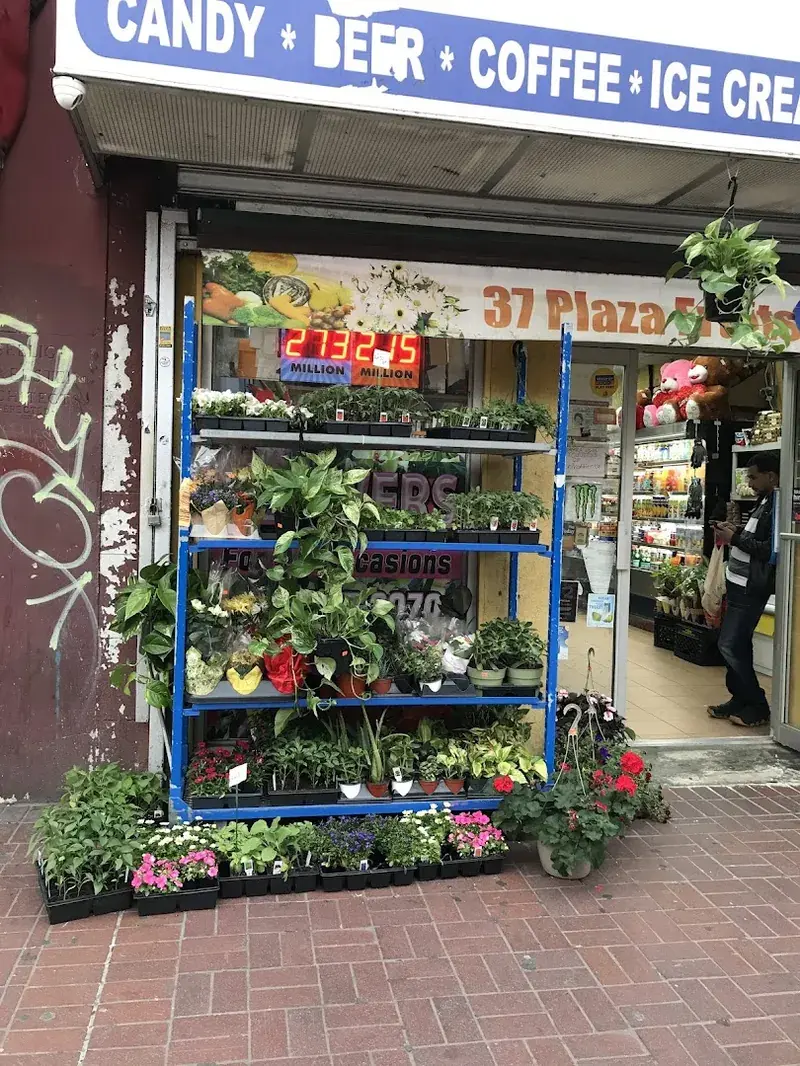 Plaza Grocery Store in Brooklyn, New York