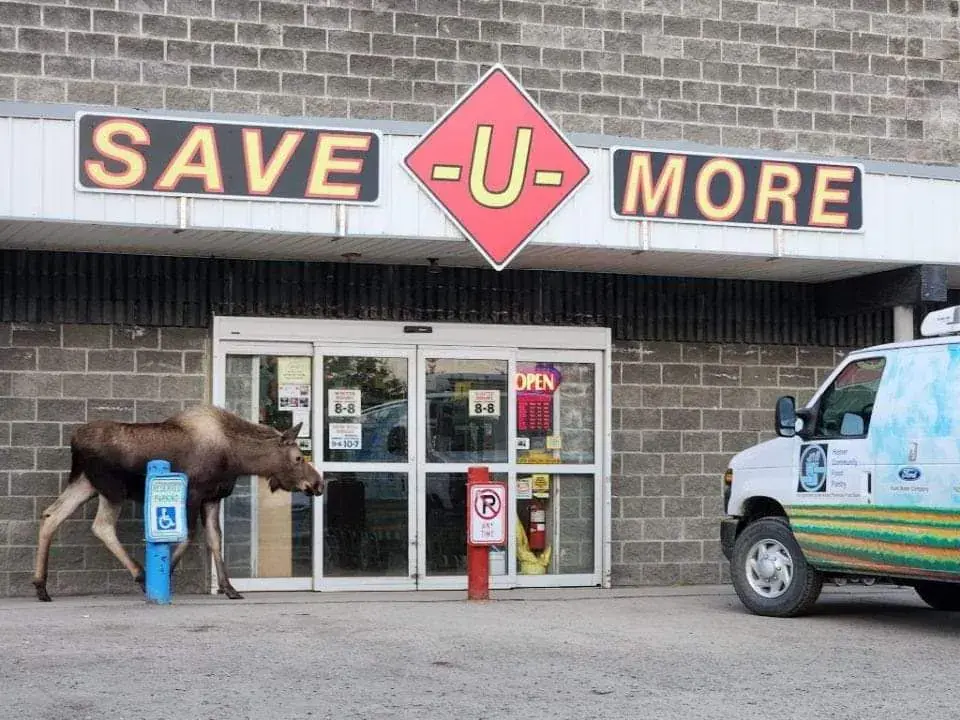 Save-U-More - Grocery store in Homer, AK