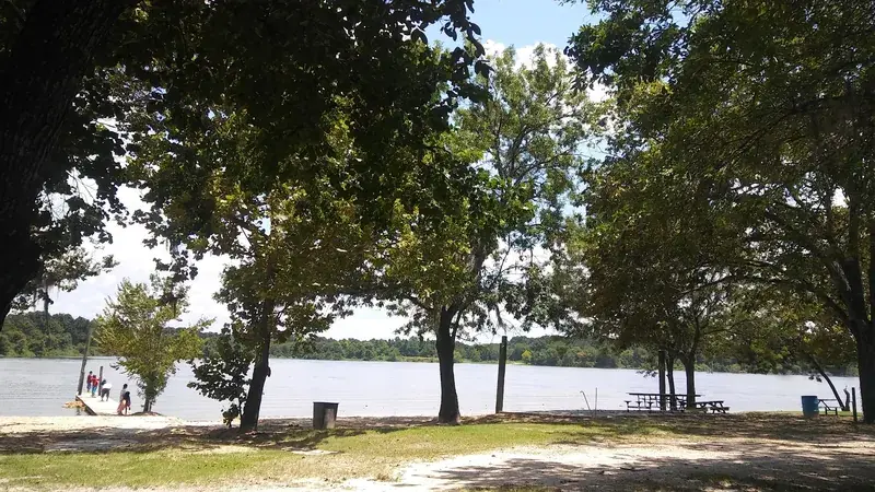 Star Grocery in Houston, Texas