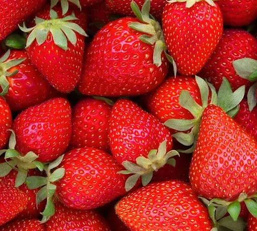 Superstition Ranch Farmers Market in Mesa, AZ