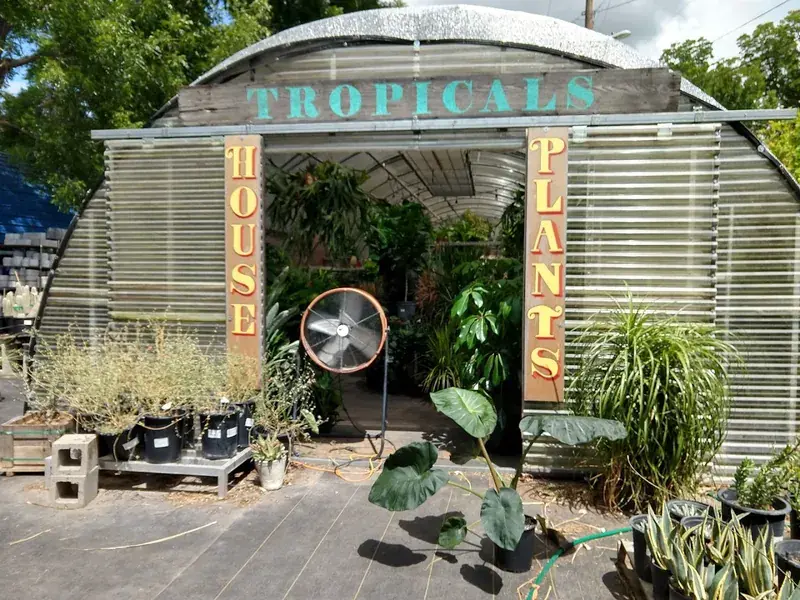 Tillery Street Plant Co. in Austin, TX