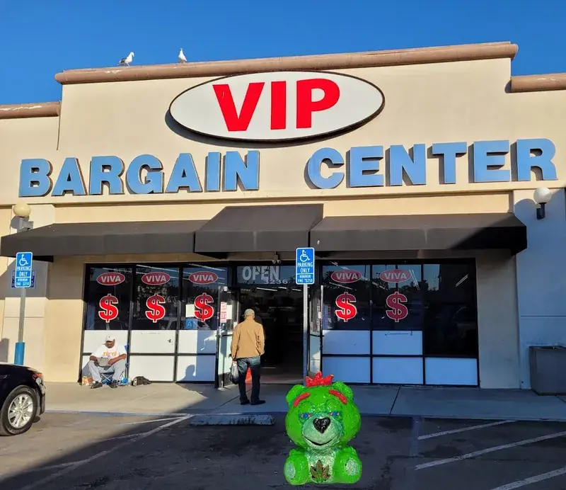 Viva Bargain Center in Los Angeles, California